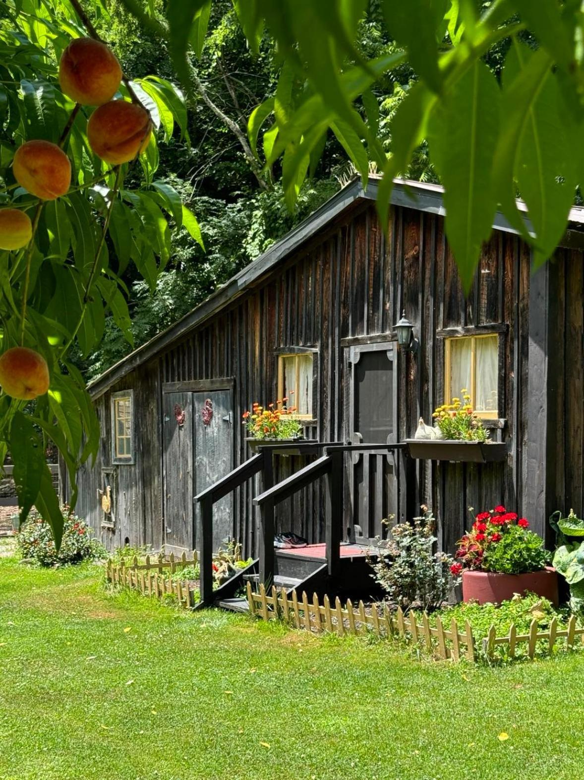 The Renovated Barn At Seneca Rocks Villa Exterior photo