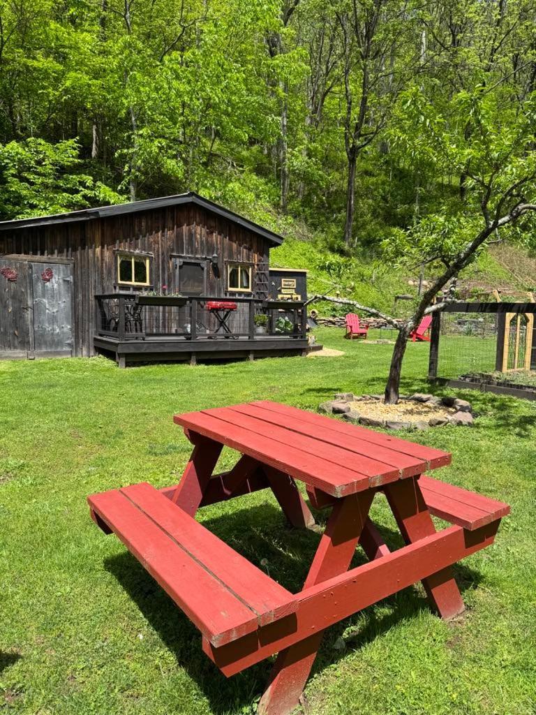 The Renovated Barn At Seneca Rocks Villa Exterior photo
